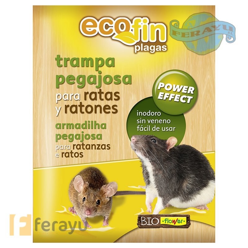 Trampas Pegajosas Para Ratones Trampas Para Ratones Raton